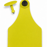 Blank Visual Large Visual tamperproof Tags with Male Piece – Yellow or White