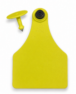 Blank Visual Large Visual tamperproof Tags with Male Piece – Yellow or White