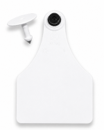 Blank Visual Large Visual tamperproof Tags with Male Piece – Yellow or White - Image 2