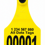 Custom Visual Tamperproof Tags – Any Lay Out – Black Press Lettering – Front & Back printing