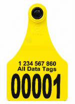 Custom Visual Tamperproof Tags – Any Lay Out – Black Press Lettering – Front & Back printing