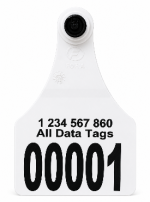 Custom Visual Tamperproof Tags – Any Lay Out – Black Press Lettering – Front & Back printing - Image 2