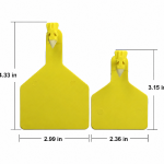Blank Feed Lot Tags