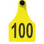 Visual Large Tag with Laser Numbers Only – Tamper-Proof Tag