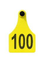 Visual Large Tag with Laser Numbers Only – Tamper-Proof Tag
