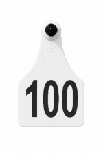Visual Large Tag with Laser Numbers Only – Tamper-Proof Tag - Image 2